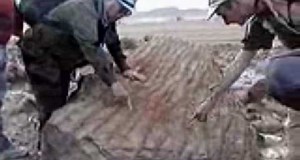 Find Raises Questions About Noahs Ark