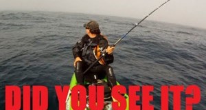 GoPro Cam Catches Mystery Creature