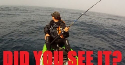 GoPro Cam Catches Mystery Creature