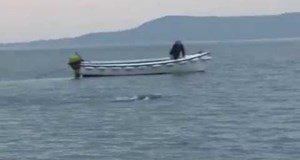Irish Sea Monster in Lough Foyle