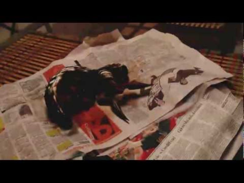 Polish Creature from Salt Mines