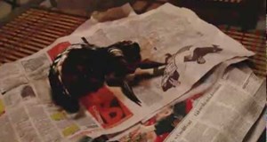 Polish Creature from Salt Mines