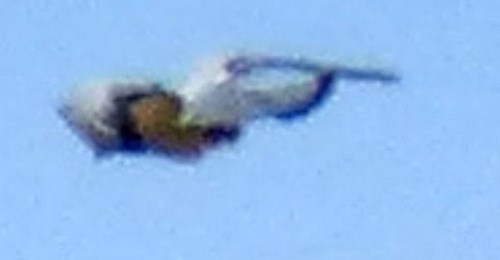 UFO in Egypt Caught on Camera Close Up